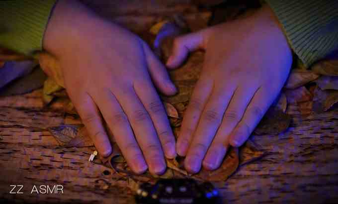 ZZ 无人声 ASMR | 粉碎干叶和拉菲草 秋天的触发音 枯树叶与拉菲草的助眠解压套餐 😴💤禁止说话